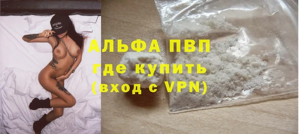хмурый Бородино