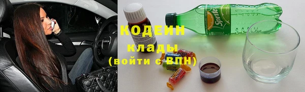 хмурый Бородино