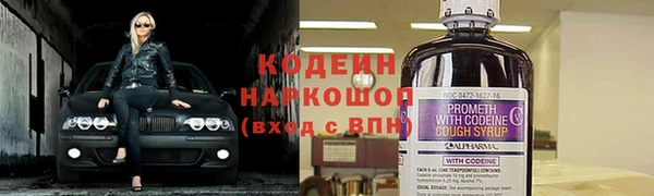 трава Гатчина