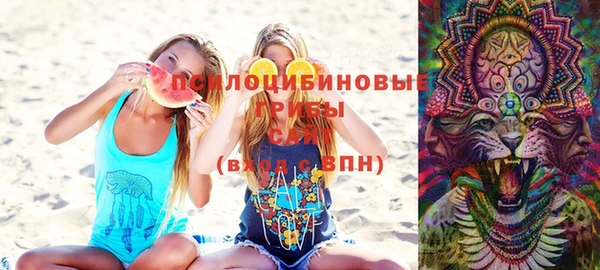 хмурый Бородино