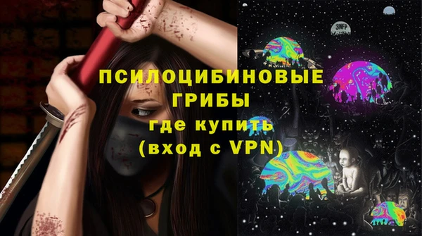 хмурый Бородино